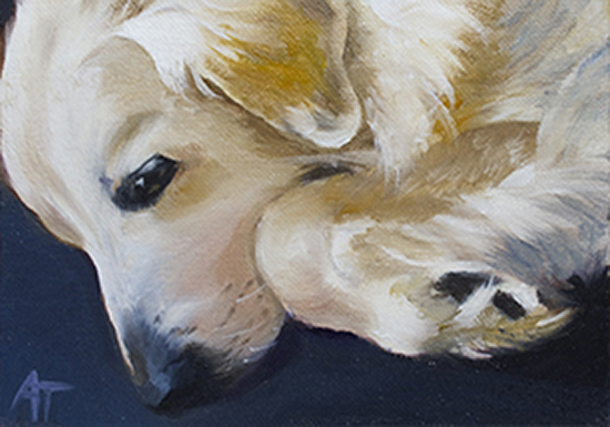 Oil Painting by Ann Trusty